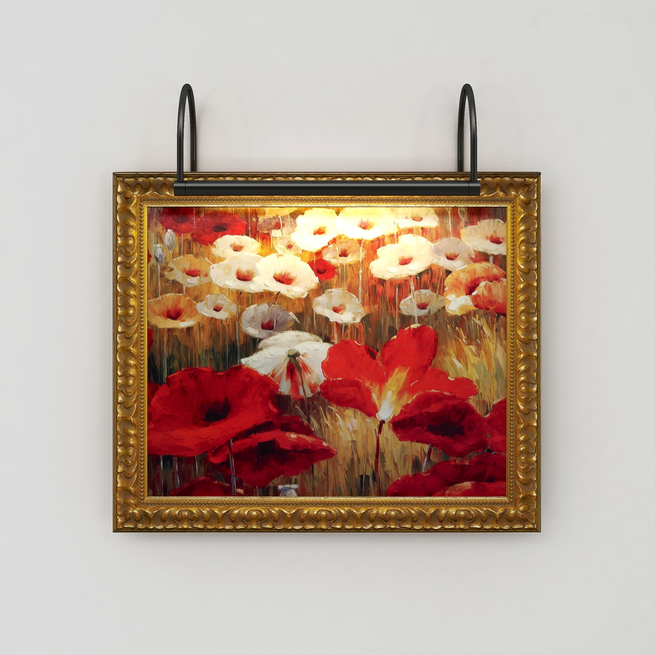 Clarus Picture Light - Black