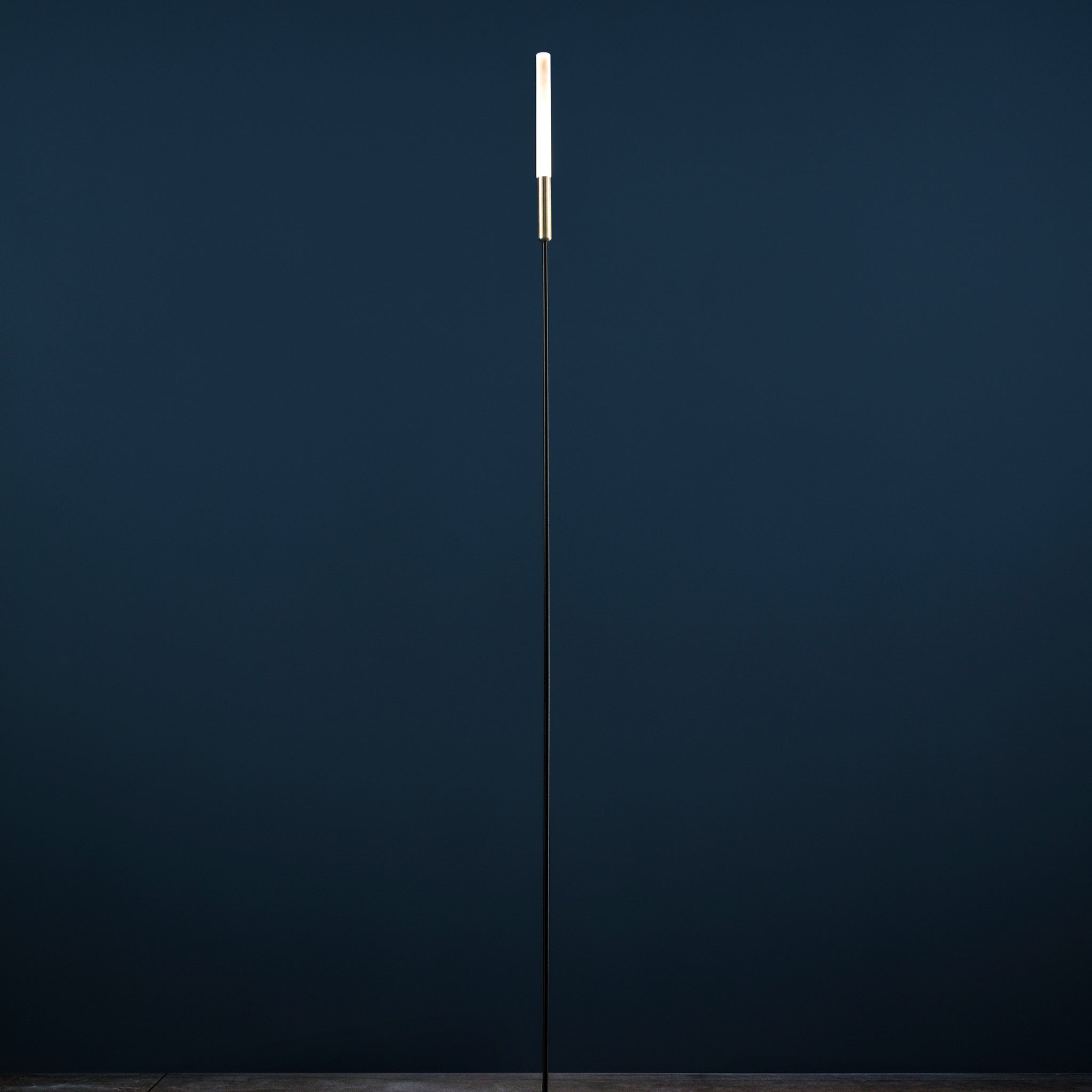Syphasera LED Garden Light | Nicholas Engert Interiors