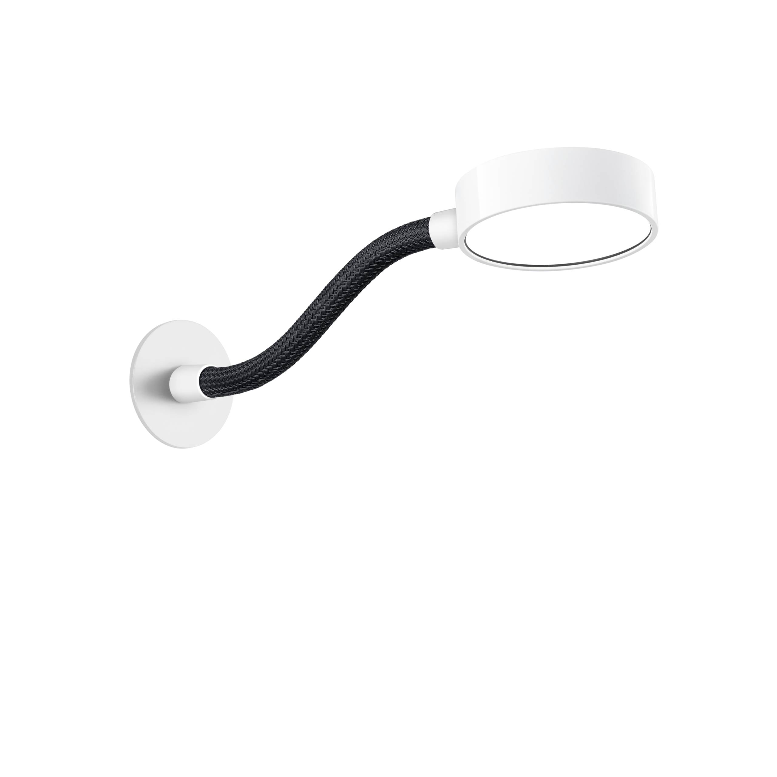 Wall Mounted Adjustable Reading Light in White & Black