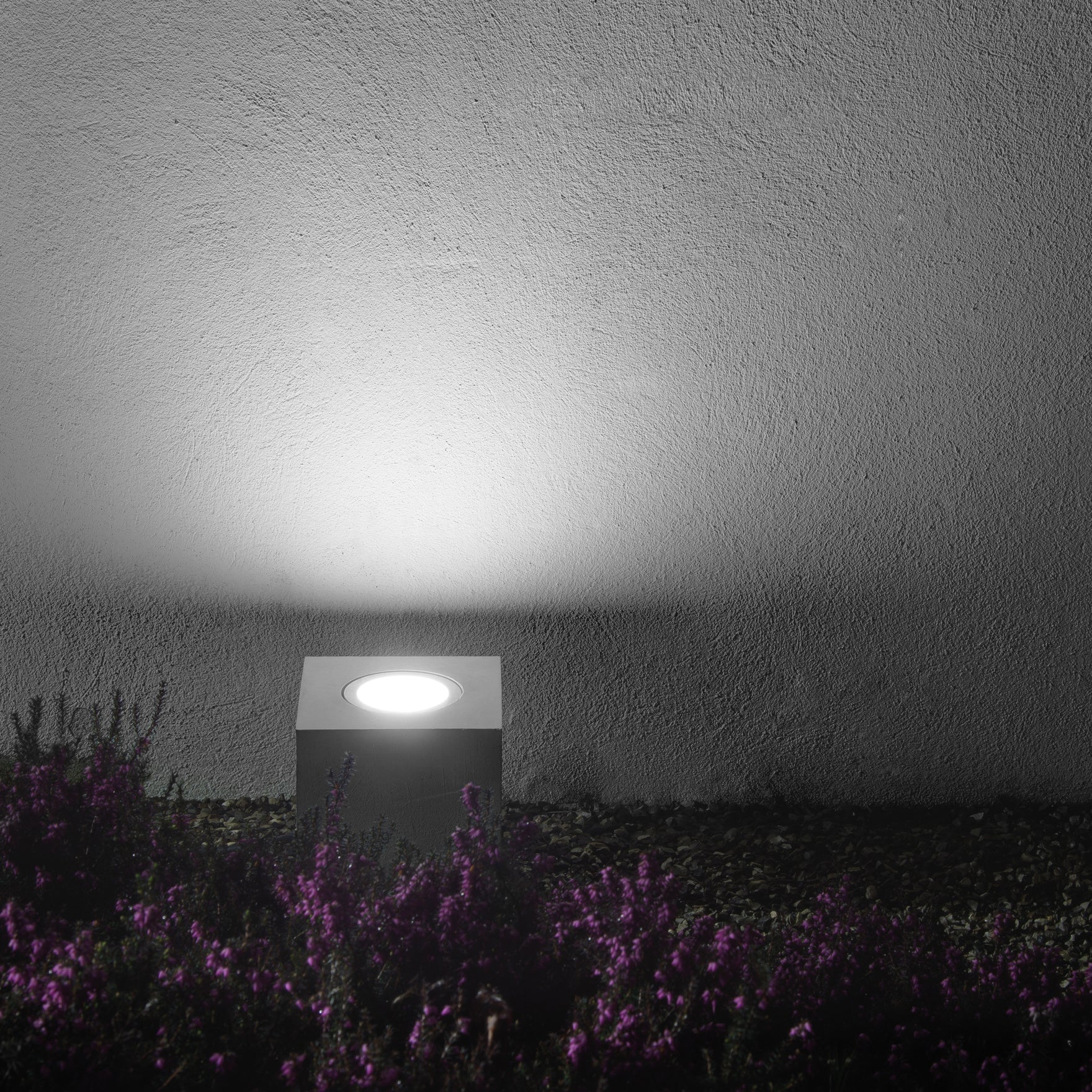 Q2 Uplight