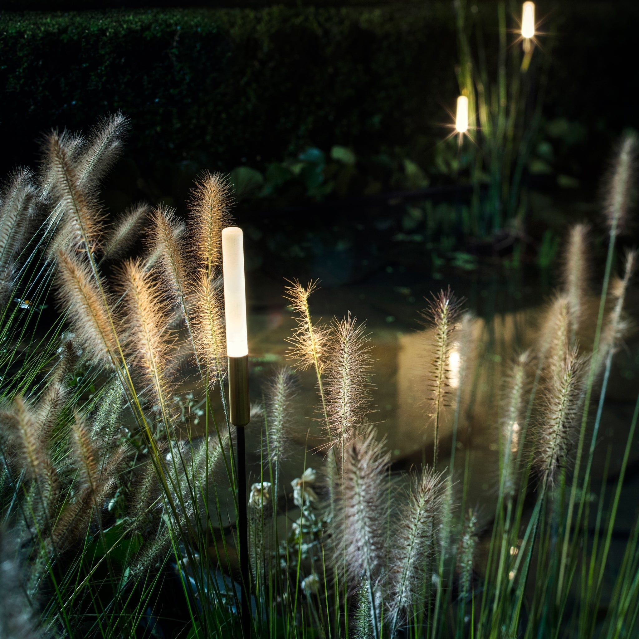 Lighting-Contemporary-Garden
