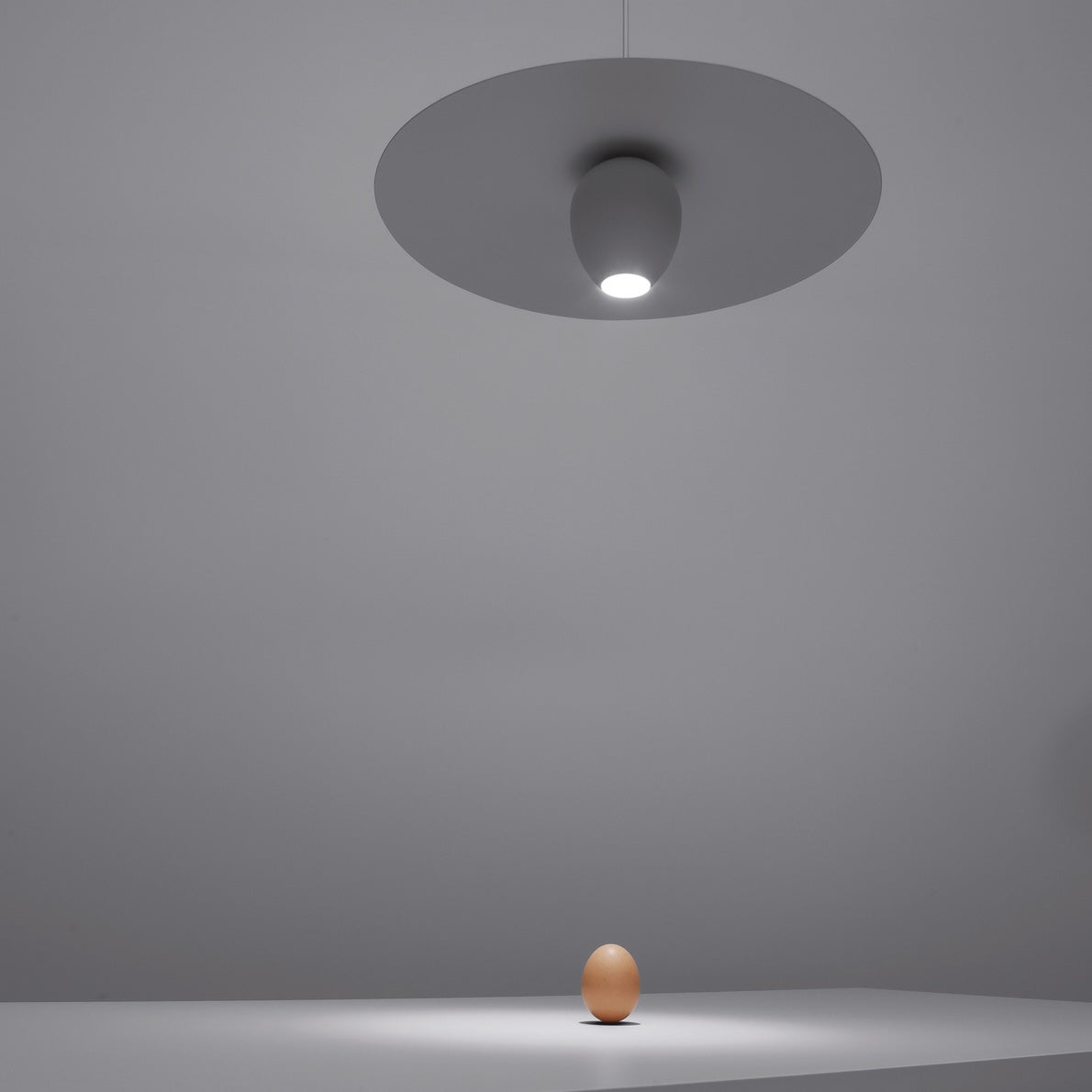 Pendant light fixture on a gray background with a single egg on a reflective surface.