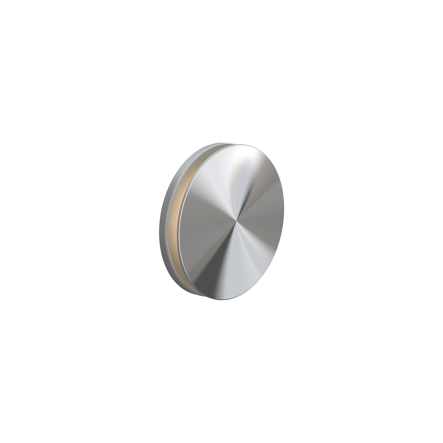 Stainless Steel Wall Light on a white background