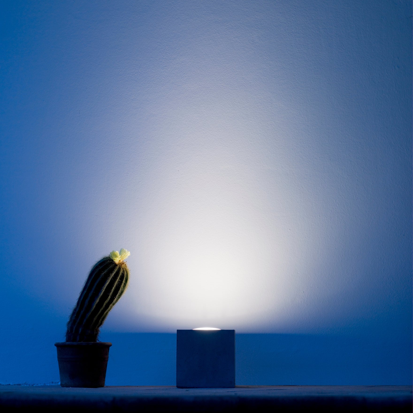 Q2 Uplight